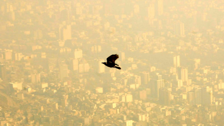 آلودگی هوا